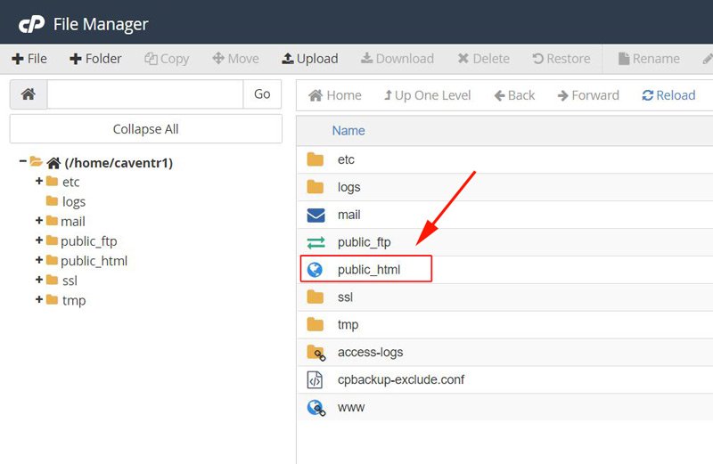 wordpress migration